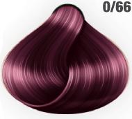 0/66 Purple