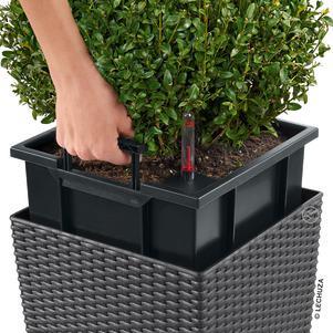 Produktbild Lechuza Cube Cottage (29.50 cm)