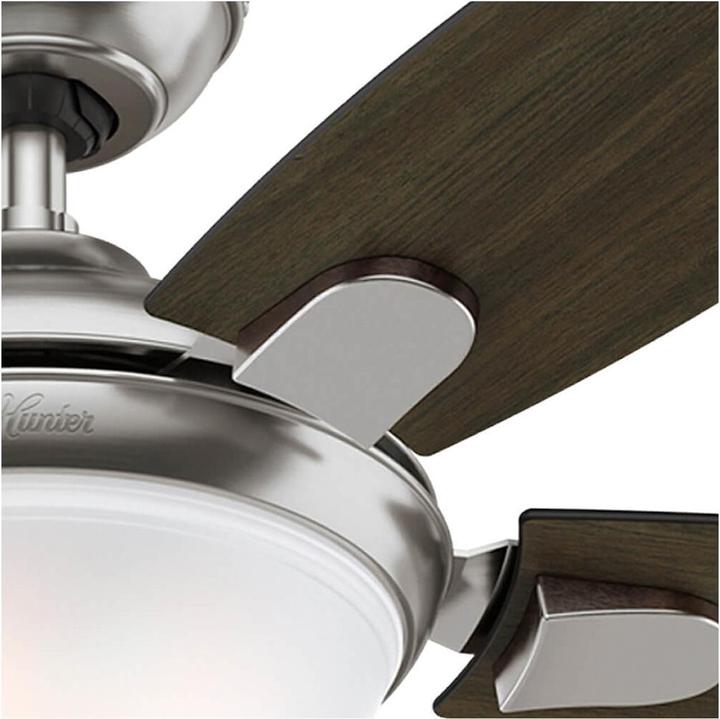 Actual product image Hunter Fans Contempo (46 dB)