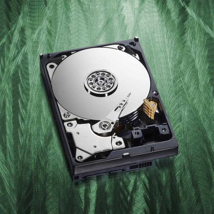 Actual product image WD Green 4TB (4 TB, 3.5")