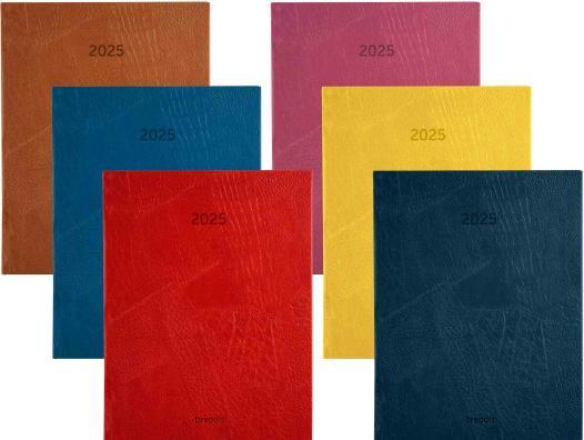 Produktbild Brepols Agenda Optivision Lucca 2023 833949960 ass., 1W/2S, 17.1x22cm (A5, Französisch)