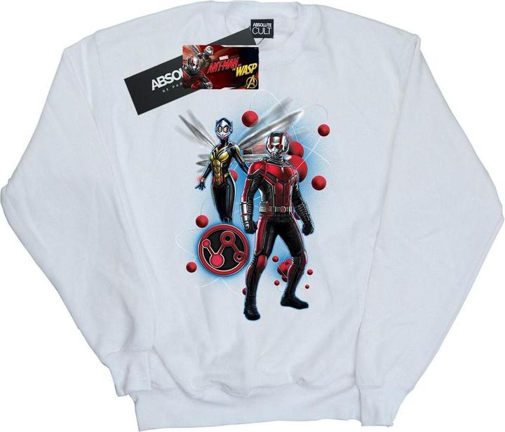 Produktbild Jungen AntMan Und Die Wespe Partikel Pose Sweatshirt (140, 146)
