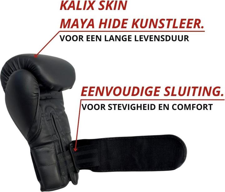 Produktbild NRG Fitness Sparring Handschuhe (12 OZ, 12)