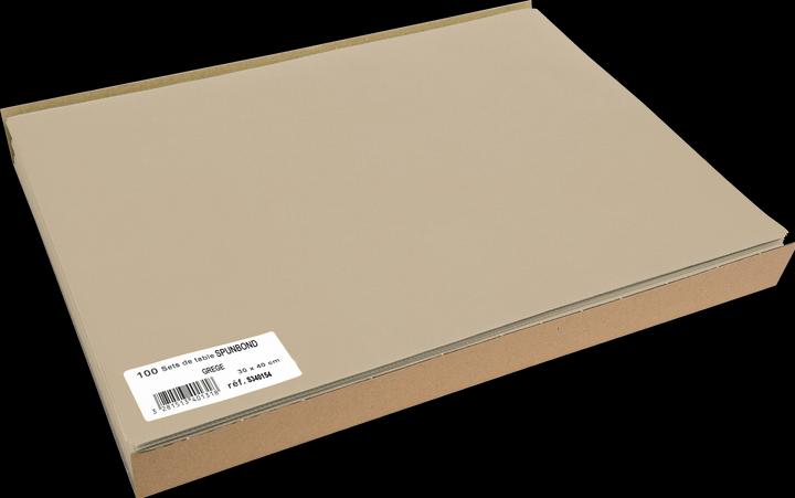 Exacompta Placemats Sounbond S ilk, 30x40, Pk100 (100 x, 30 x 40 cm)