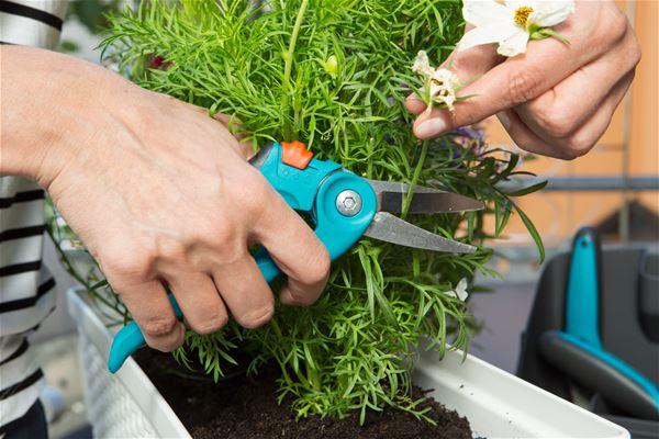 Actual product image Gardena City Gardening Balcony Box