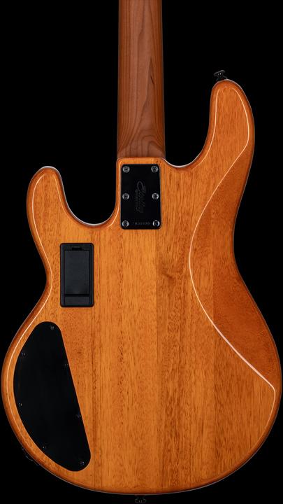 Produktbild by Music Man StingRay Ray34 HH Poplar Burl Amber elektrische basgitaar met deluxe gigbag (E-Bass, Maple, Ahorn, Poplar)