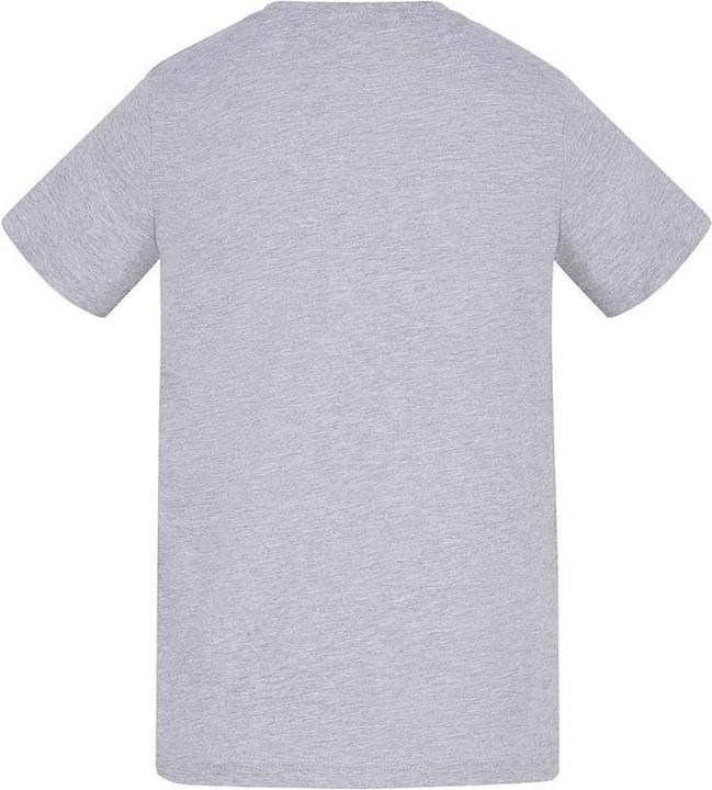 Actual product image Awdis Childrens/Kids T-Shirt (116)