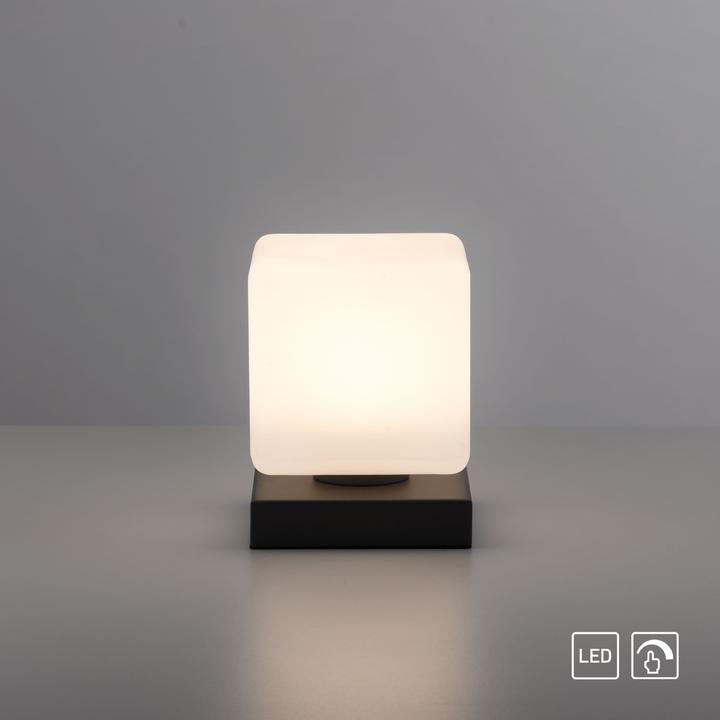 Produktbild Paul Neuhaus Dadoa (580 lm)
