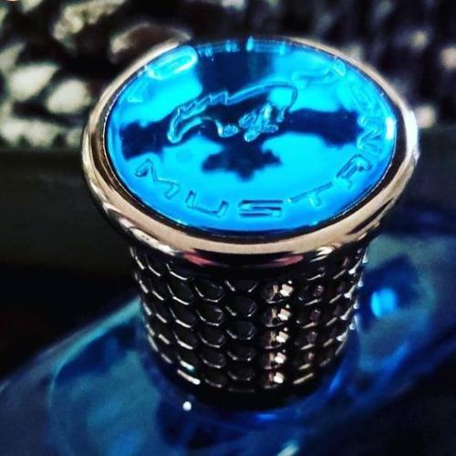 Actual product image Estée Lauder Mustang Blue by Eau de Toilette Spray 100 ml (Eau de toilette, 100 ml)