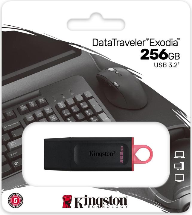 Actual product image Kingston MEMORY DRIVE FLASH USB3.2/256GB DTX/256GB (256 GB, USB 3.0, USB 3.1, USB 3.2)
