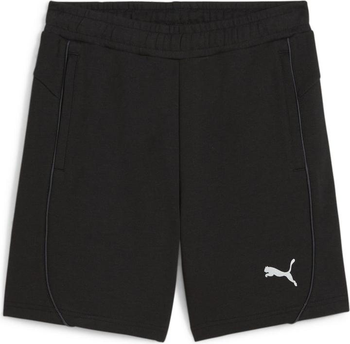 pumablackpumasilver