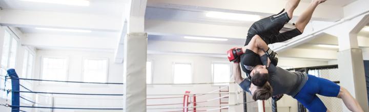Produktbild adidas Grappling Training (L)