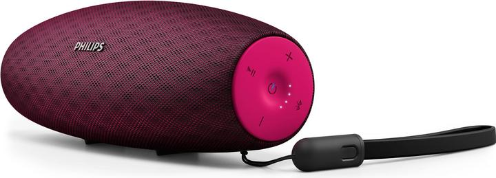 Philips EverPlay (14 h, Rechargeable battery operated)