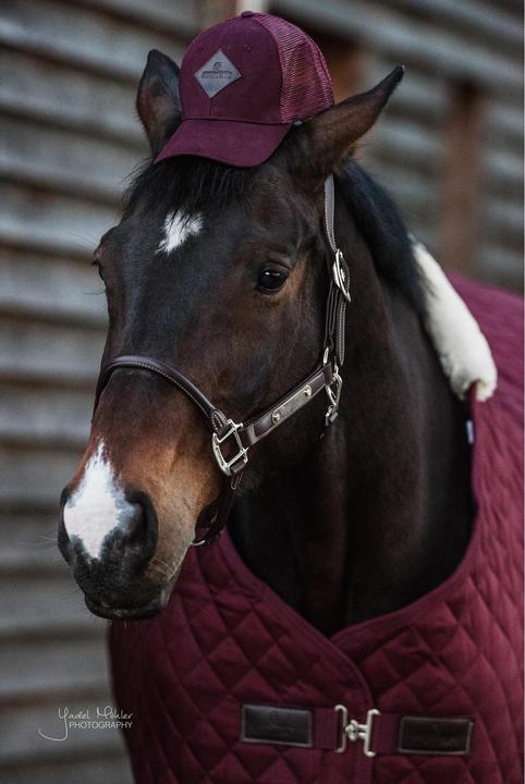 Kentucky Horsewear Genickstück für anatomisch geformtes Lederhalfter