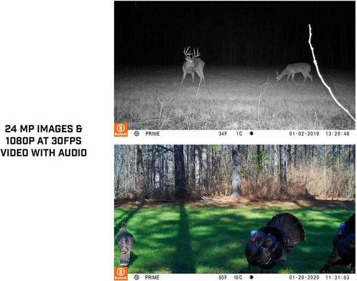 Produktbild Bushnell 24MP Prime core