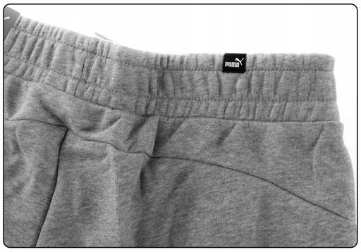 Actual product image Puma ESS Logo Pants (L)