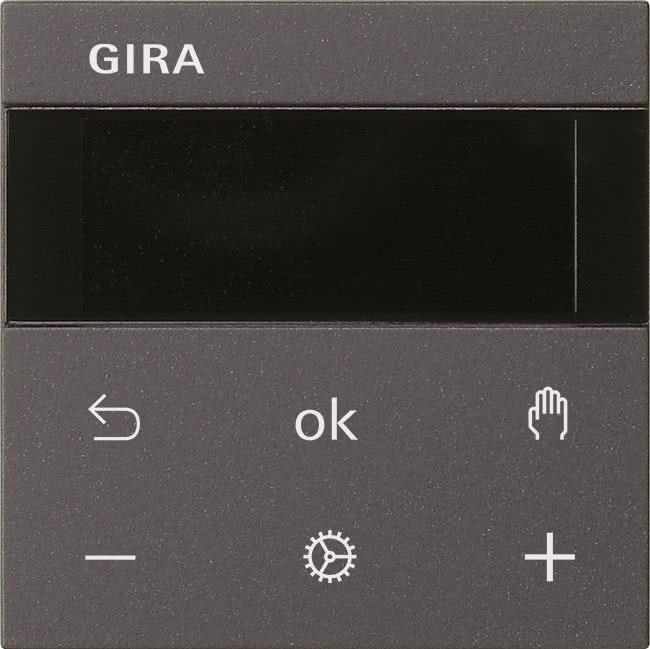 Actual product image Gira RTR display anthracite 539328 (539328)
