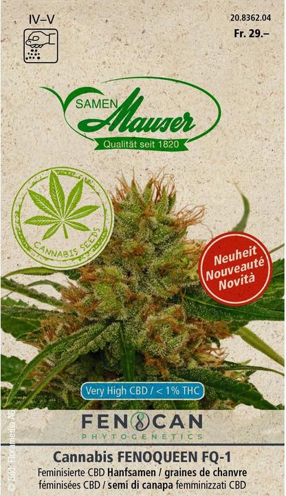 Actual product image Samen Mauser Cannabis Hemp Fenoqueen (Plant seeds)