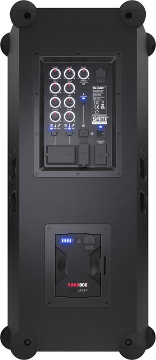 Actual product image Sharp CP-LS100 BT Party Speaker black (10 h, Rechargeable battery operated, Electrical connection)