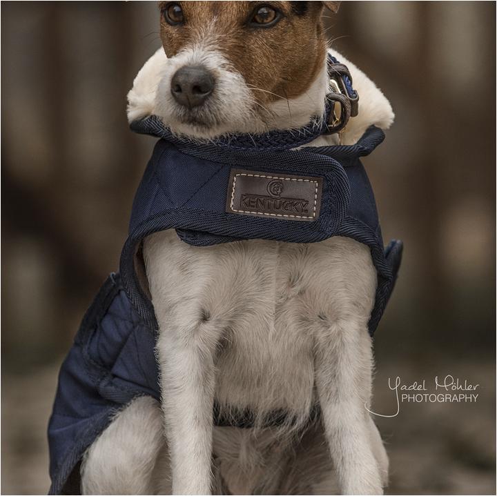 Produktbild Kentucky Dogwear Hundemantel 160g (S, M, Hundemantel)