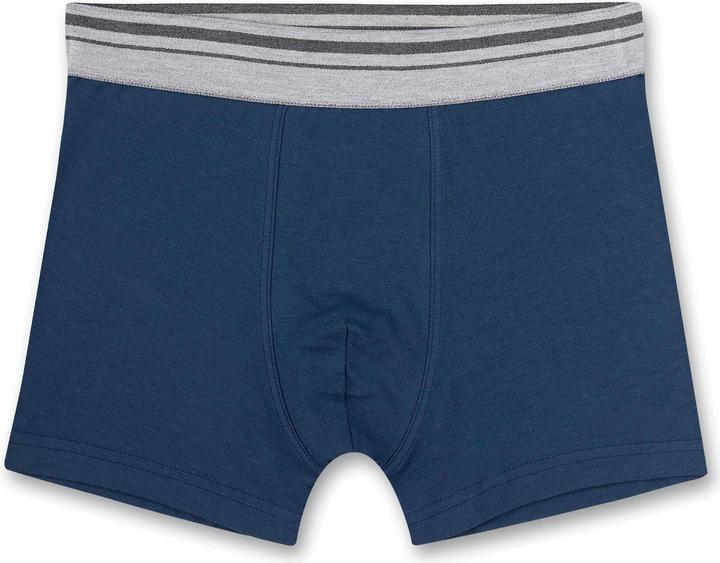 Actual product image Sanetta DP Hipshort (140, pack of 4)