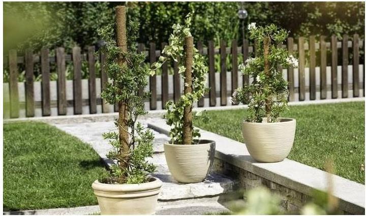 Image du produit Windhager Bâton de plante noix de coco (80 cm, 4.50 cm)
