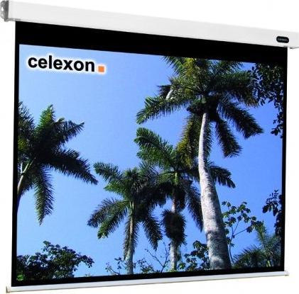 Actual product image Celexon Motor Professional, Canvas, 4:3 (83.86", 4:3)