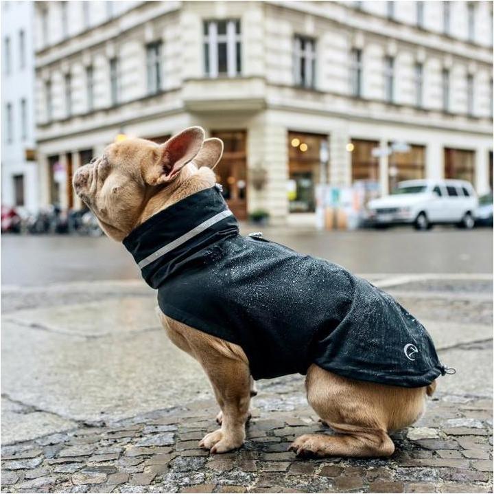 Actual product image Cloud 7 Dog raincoat London French Bulldog (Dog coat)