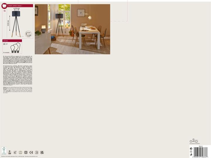 Actual product image Paulmann Neordic Rurik (E27)