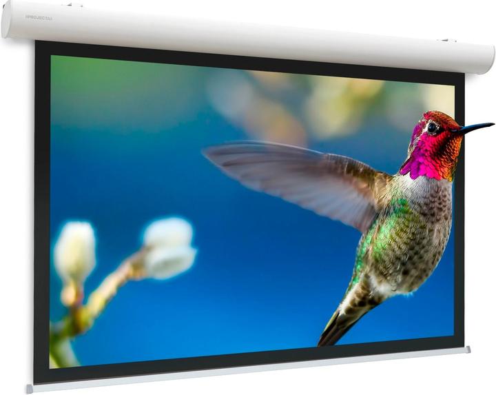 Actual product image Projecta Elpro Concept RF Video Format - screen - ceiling mounting possible, suitable for W (143", 4:3)