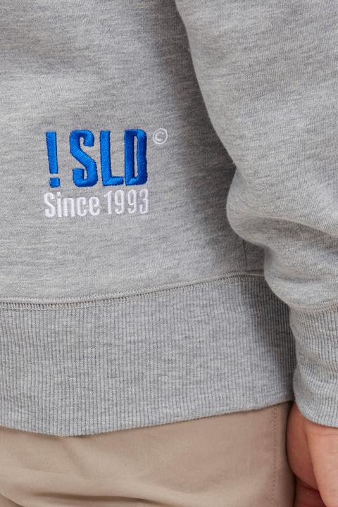 Actual product image Solid BennHood Men's Hoodie (M)