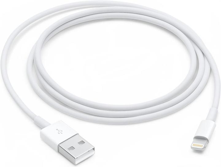 Apple Lightning to USB 2.0 (1 m, USB 2.0)