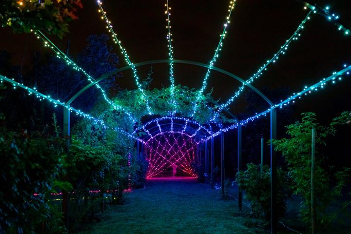 Actual product image Twinkly Strings (32 m)