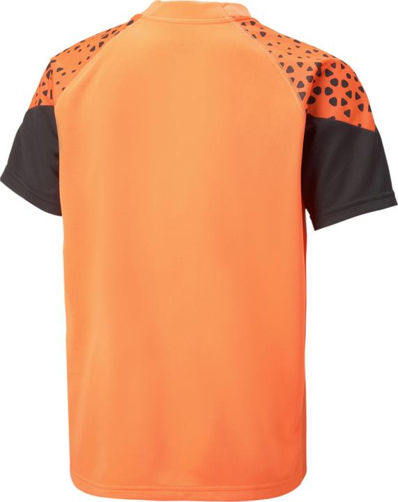 Actual product image Puma individualCUP Training Jersey jr (152)