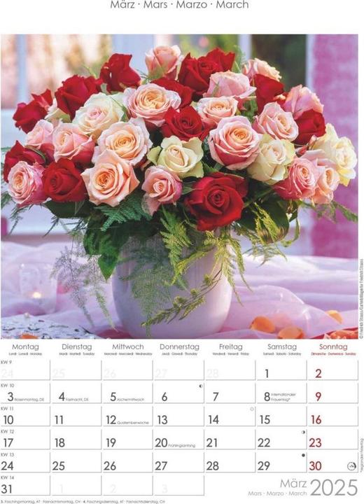 Actual product image Alpha Edition Rosenträume 2025 picture calendar, 23,7x34cm, wall calendar with space for notes and (Hardcover, German, Italian, French, English)