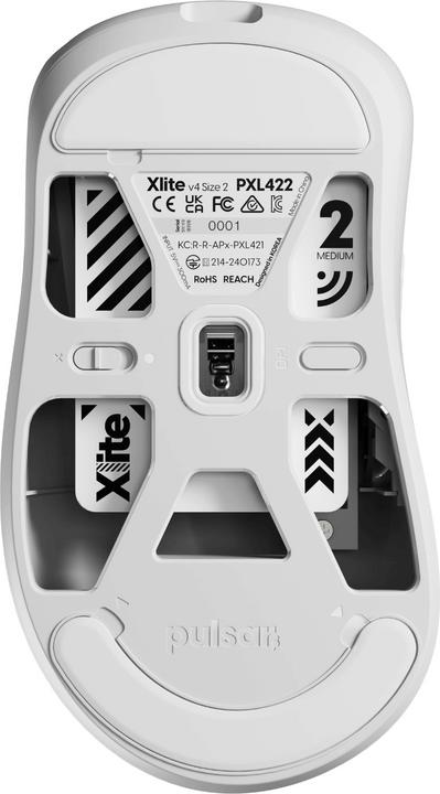 Actual product image Pulsar Xlite V4 - Medium Size 2 (Wireless, Cable)