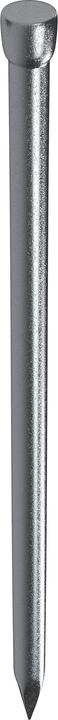 Nails 1.6x30 (60 pcs.) Wire nails dished head (60 Piece, 30 mm)