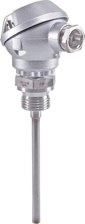Actual product image Jumo Resistance thermometer