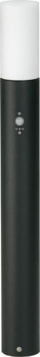 Actual product image Albert Leuchten Outdoor lights with motion detector (E27, IP54)