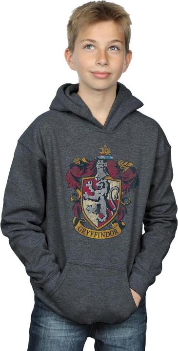 Produktbild Gryffindor Distressed Crest Kapuzenpullover Jungen (128)