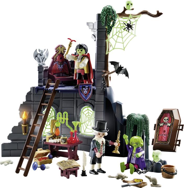 Image du produit Playmobil Ruine hantée (71651)