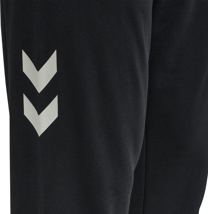 Actual product image hummel Lgc Liam Regular Pants (S)