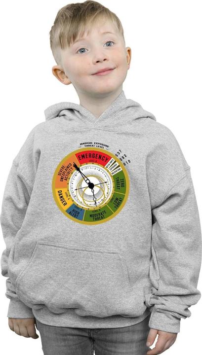 Actual product image Fantastic Beasts Boys Threat Level Hoodie (152, 158)