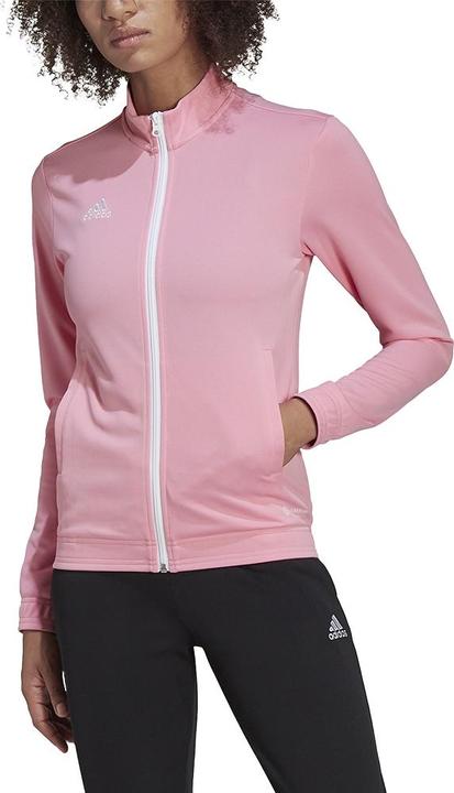 Actual product image adidas Entrada 22 women's training jacket (XS)