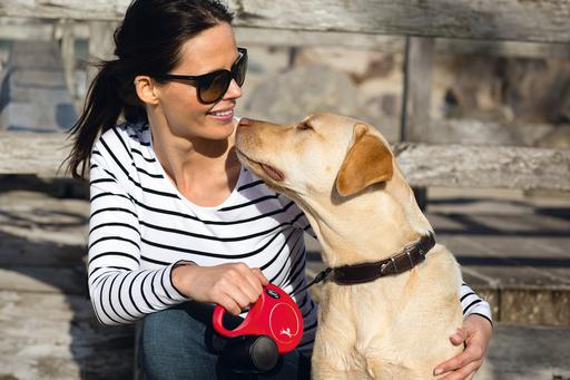 Actual product image Flexi New Classic (M, Dog, Walks)