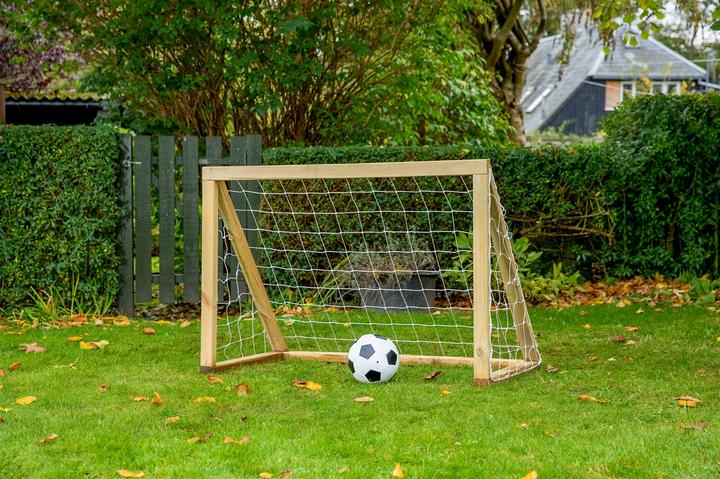 Euro Play Homegoal Classic Micro