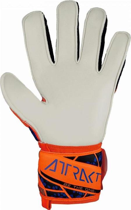 Immagine prodotto Reusch Guanti da portiere Attrakt Solid (9)