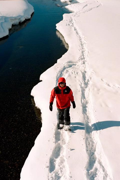 Actual product image Tubbs Flex ALP (25")