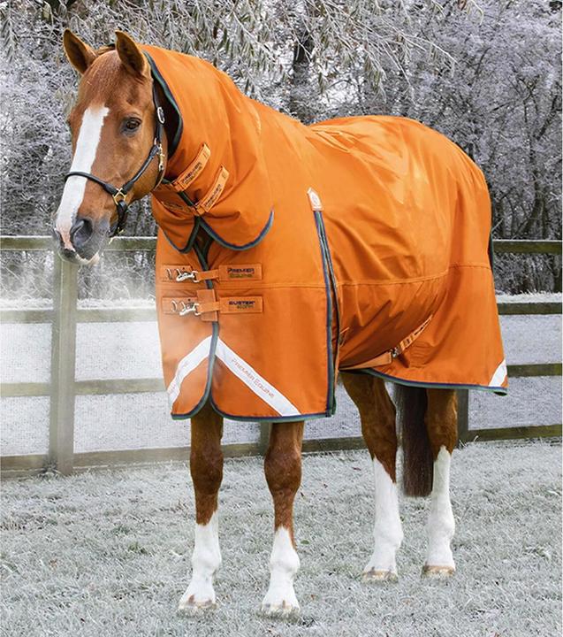 Actual product image Premier Equine Buster Combo 400g (213 cm)