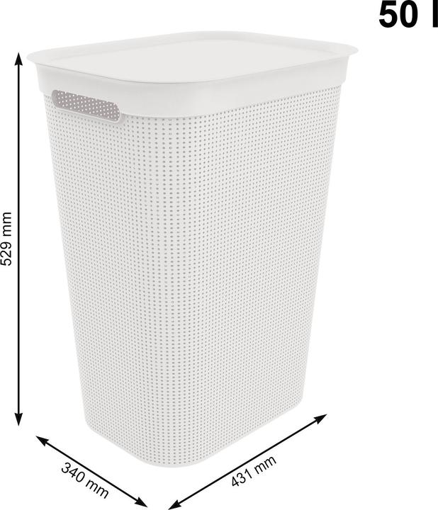 Actual product image Rotho Brisen (50 l)